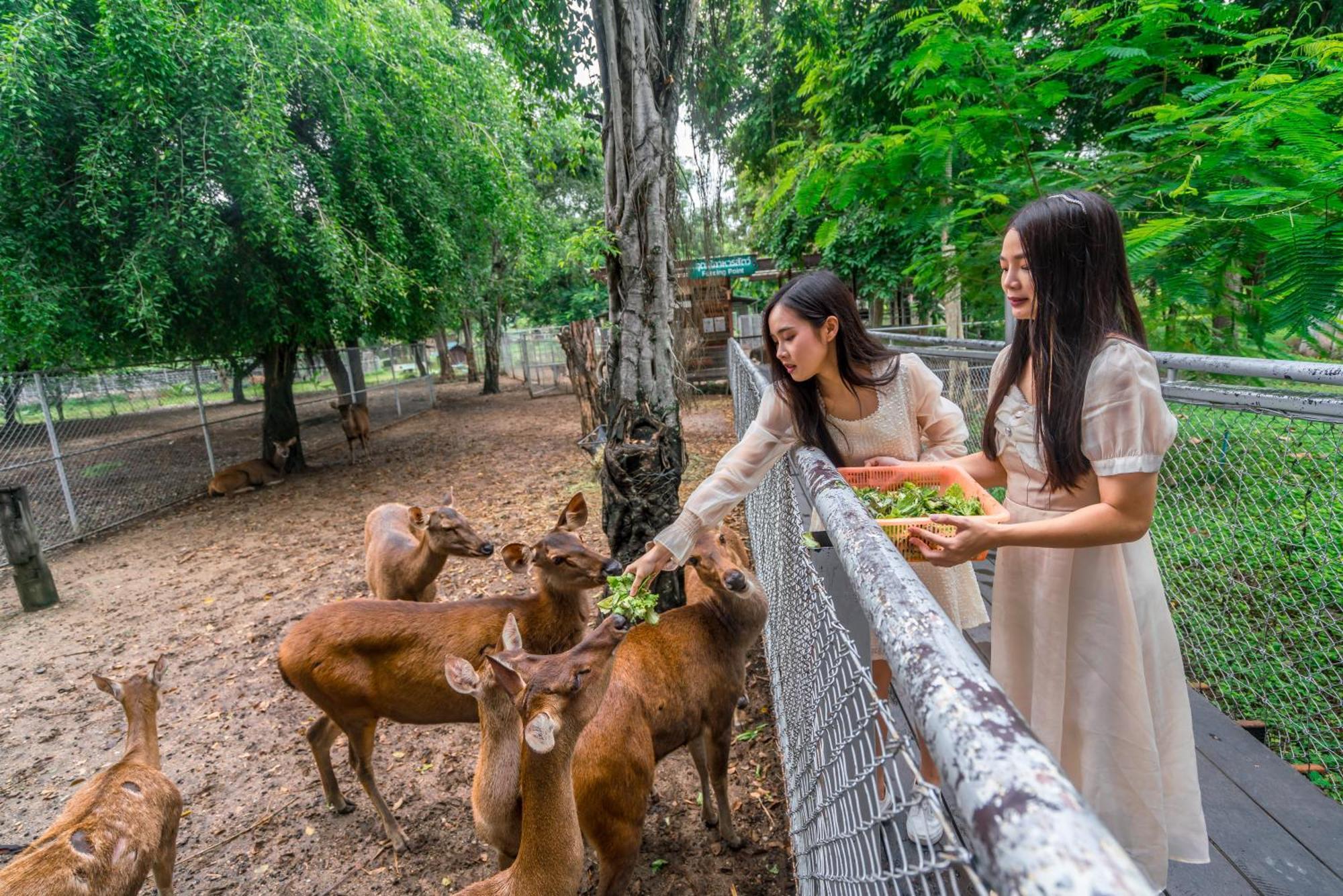 Horizon Village & Resort Doi Saket Exterior foto